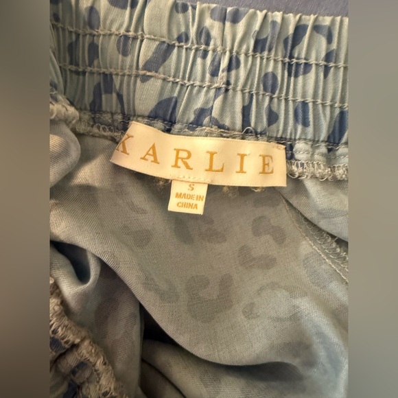 Karlie Blue Athletic Shorts with Leopard Print - Picture 4 of 6